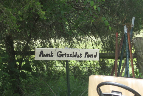Aunt G's Pond