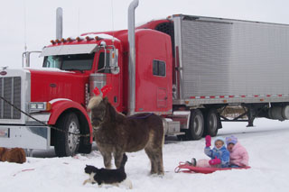 Daisy, Abigail and Rocket